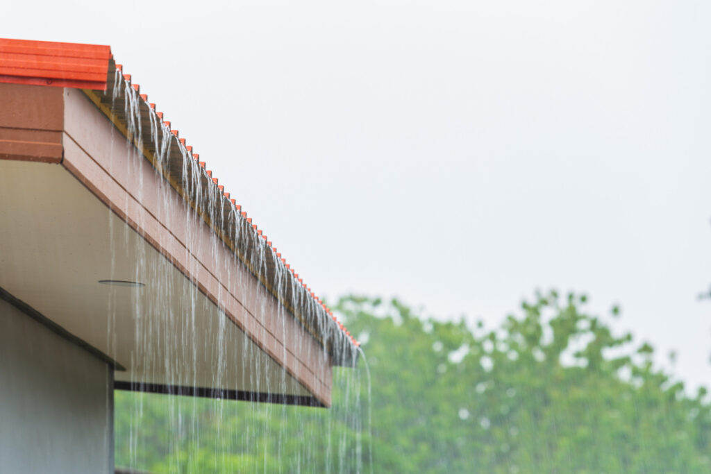 Rainy Season
