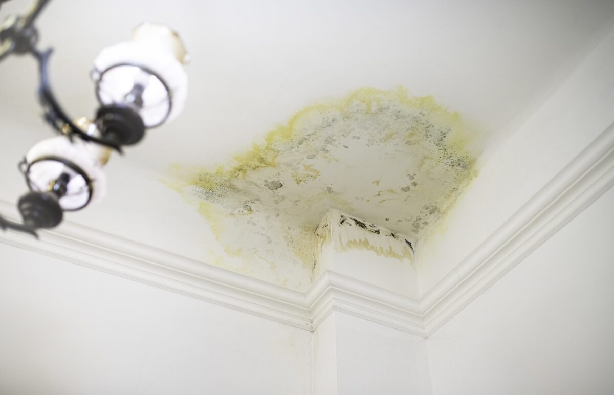 Is Your Tampa Roof Leaking After One Heavy Storm?