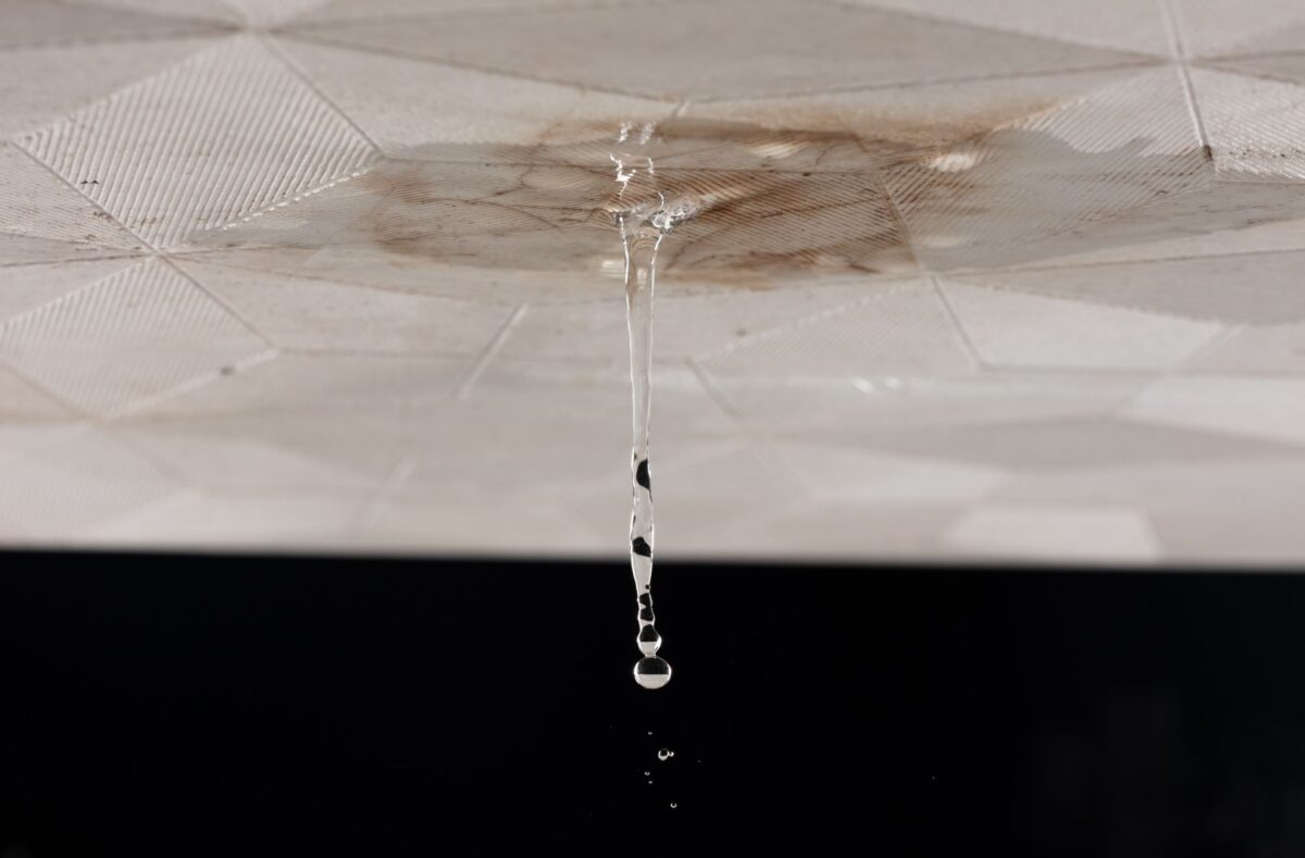 Spotting Roof Leak Damage in Tampa Before Storm Season